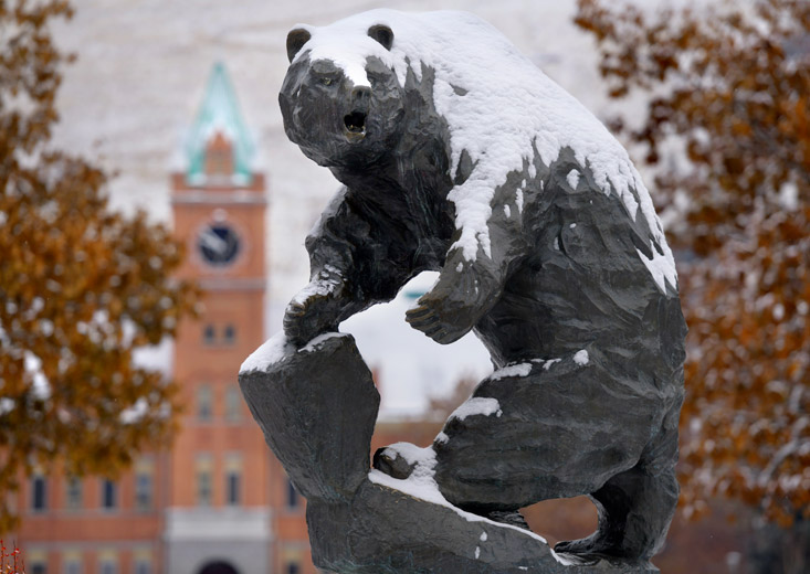 Statue of Monte, Grizzly Bear, University of Montana's Mascot